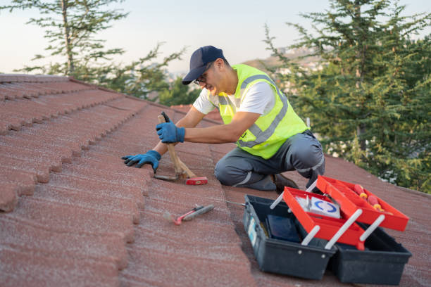 Best Roof Gutter Cleaning  in Windsor, NC
