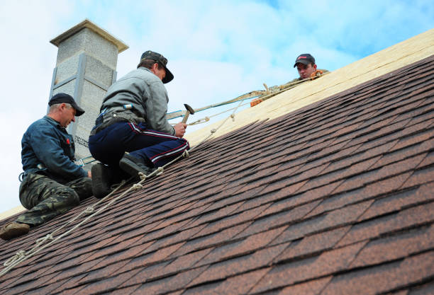 Roof Installation Near Me in Windsor, NC